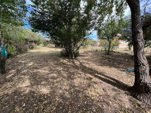 Imagen 13 de 13 de Terreno De 1000m2