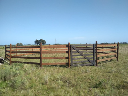 Imagen 7 de 14 de Chacra A La Venta - Ruta 7 Km 69 Los Arenales - Hermosa Chacra De 3 Has Con Casa A Estrenar