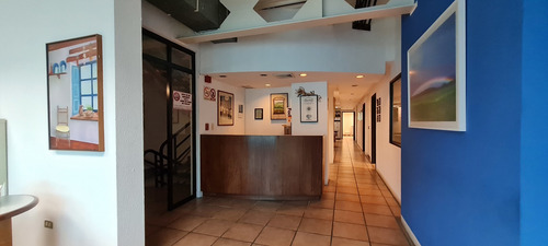 Imagen 7 de 27 de Vendo Edificio Comercial 900m2 Prados Del Este 0242
