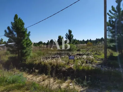 Terrenos - Barrio Pinares - Mza 102