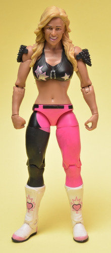 P27 Figuras Wwe Mattel Divas Jakks - Natalya B43