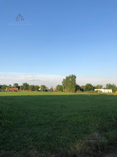 Imagen 6 de 8 de Terreno - Las Tardes