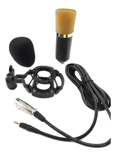 Micrófono Con Condensador Filtro Suspencion Ms-condenser Color Negro