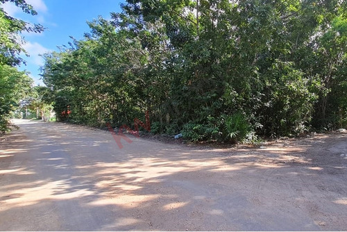 2 Terrenos Juntos 430 M2 Ideal Para Invertir En Cancún, Álamos