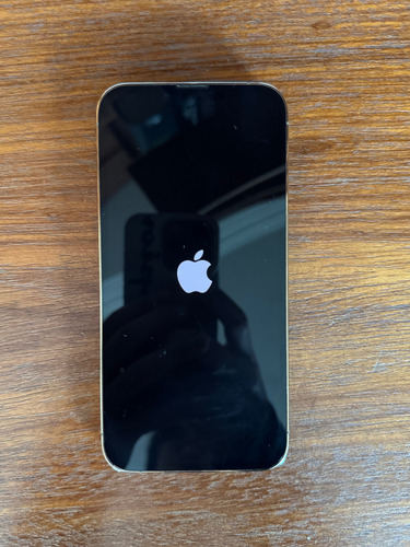 Iphone 13 Pro 256gb Saúde De 90% Com Caixa Dourado-claro