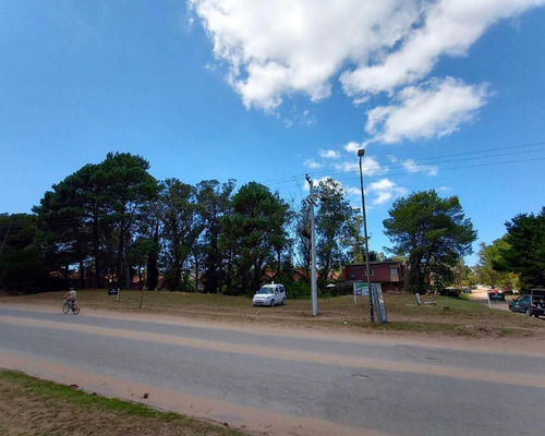 Lote Multifamiliar- Av. Shaw E/palometa Y Besugo
