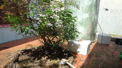 Imagem 5 de 14 de Ótima Casa 500 Metros Do Mar Em Itanhaém - 6000