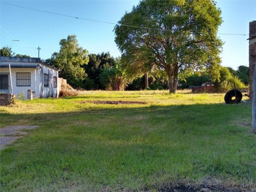 Imagen 4 de 10 de En Venta!! Espectacular Lote Con 3 Casas Construidas!