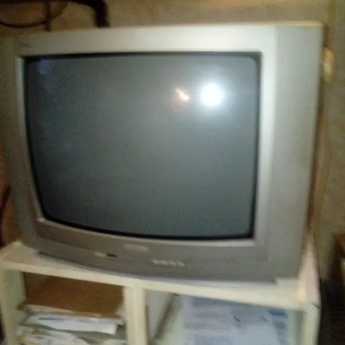 Televisor Philips (tubo) 14 Pulgadas Funciona Perfecto