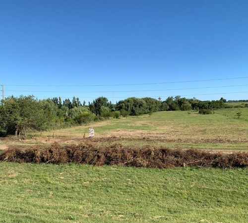 Imagen 3 de 6 de Parcela De 2,10 Has Sobre Ruta 135 En Ingreso A Colón