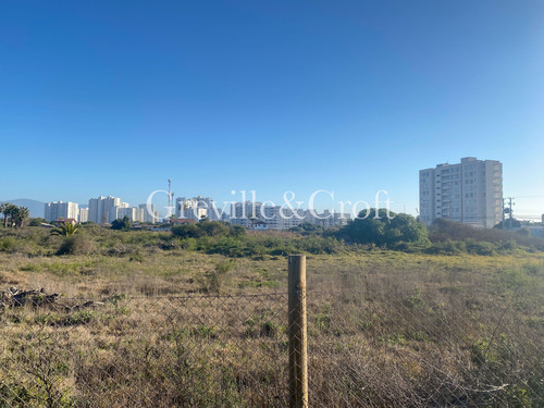 Paño Plano, Los Membrillos C/ Avda Pacif (94088)