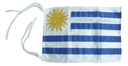 Bandera Uruguaya 20x30 Nautico Uruguay