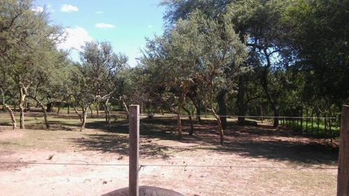 Imagen 5 de 17 de T031 Sl Amplio Lote De 2.940 M2 A 250 Mts Del Balneario Las Maravillas