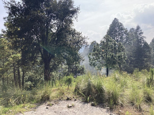 Lerma, Edo. Mex. Terreno En Venta En La Cañada De Alféres