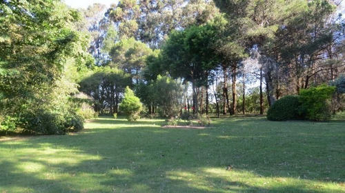 Chacra 5 Dormitorios En Laguna Del Diario, Punta Del Este