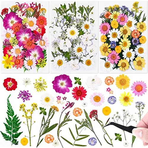 Flores De Tela Para Mercería 120 Flores Secas Prensadas en venta en Engativa Bogotá . por sólo $ 146, Colombia Flores De Tela Para Mercería 120 Flores Secas Prensadas en venta en Engativa Bogotá . por sólo $ 146, Colombia