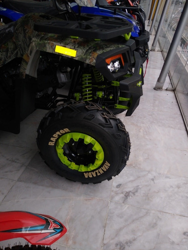Imagen 9 de 9 de Avanzada Raptor 200