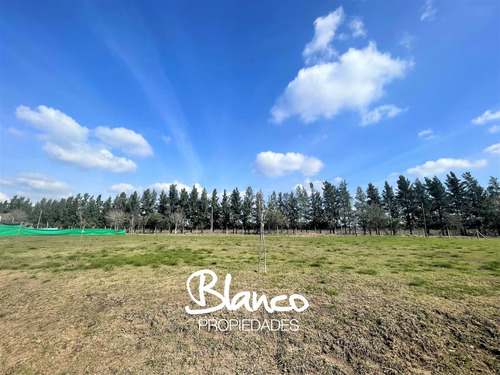 Terreno Lote En Venta En Matisse Barrio Privado, Campana, G.b.a. Zona Norte