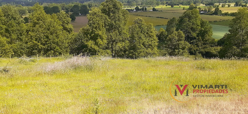 Venta De Terreno De 15 Ha. En Caulín Alto, Comuna De Ancud