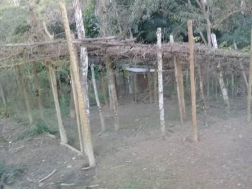 Imagem 12 de 15 de Chácara Em Itariri, Com Nascente, Varanda, Área De Serviço, Galinheiro, Tanque De Peixes E Com 10.500 M² De Área Total Ref: 7062/ac