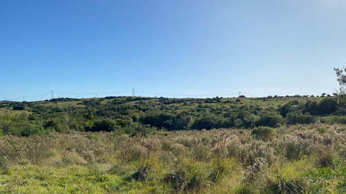 Imagen 4 de 30 de Se Vende Campo De 77 Has En Maldonado. A Pocos Km De Aiguá En Zona De Ruta 39. Ubicación Privilegiada!