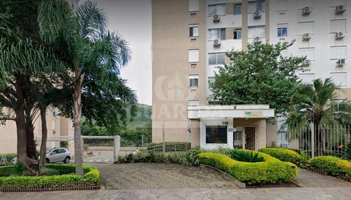 Apartamento - Jardim Carvalho - Ref: 204552 - V-204664