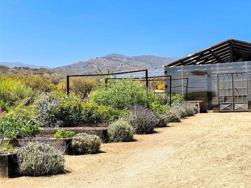 Imagen 12 de 29 de Sitio En 3 Has En Venta - Catapílco, Zapallar