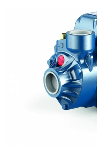 Electrobomba 1.0hp 1 Pkm80 Pedrollo Mimbral