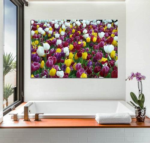 Cuadro 50x75cm Tulipanes Varios Colores Campo Flores