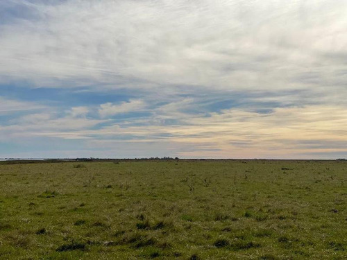 Imagen 10 de 19 de Campo En Venta !!! Gral Lavalle