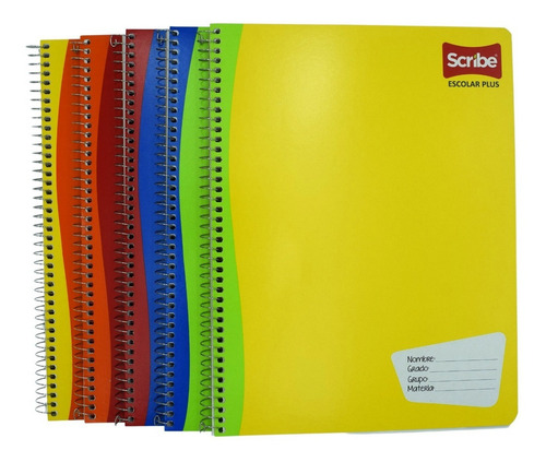 Libreta Profesional Scribe Escolar 100 Hojas 5 Libretas