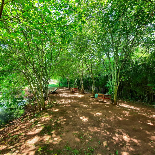 Quinta-camping-s.isidro-pdas.mnes.casa-3 Lagos C/peces-.ting
