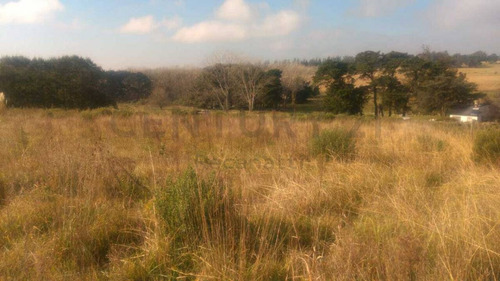 Imagen 2 de 7 de 18 Hectáreas De Campo Productivas En Colinas Verdes Id 28640