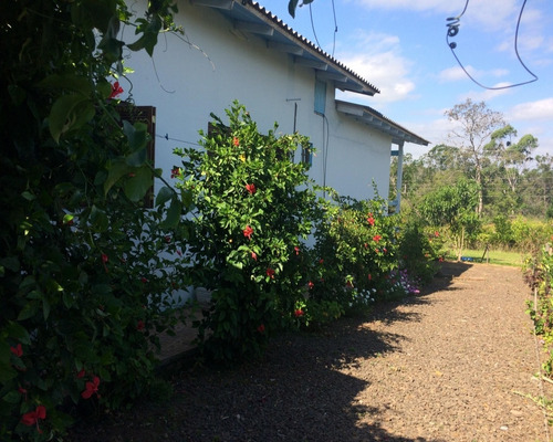 Chácara 5.640 M² - Freguesia Do Mundo Novo - Taquara - Rs - 1399 - 32419920