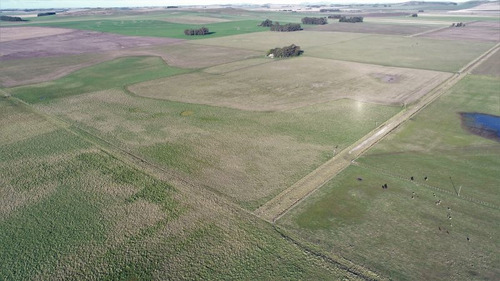 Imagen 17 de 28 de Campo 39 Has. Agrícolas Con Mejoras - Zona Dos Naciones