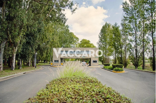 Imagen 13 de 13 de Oportunidad Lote 1100m2