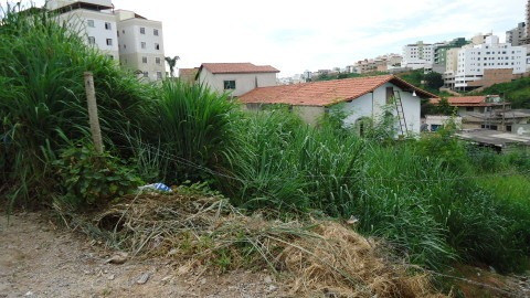 Lote Comercial Bairro Cabral - 2601