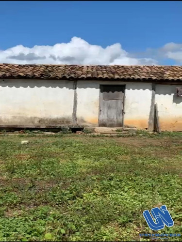 Imagem 11 de 14 de Fazenda Com 2.500 Tarefas Em Jiquiriça - Bahia - Afd061 - 70714272