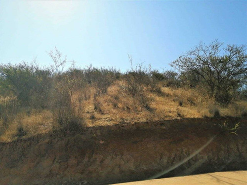 Imagen 5 de 7 de Palmira Romano Sur / Concepción