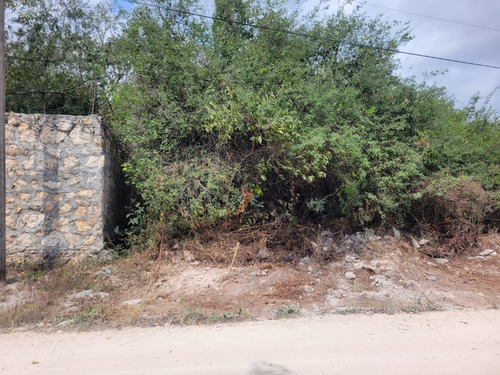 Terreno Venta Cancún Doctores Calle Felipe Amaro
