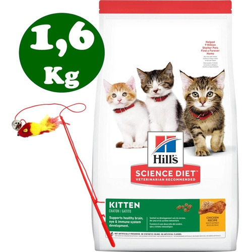 Hills Kitten Gato Cachorro 1,6 Kg + Regalo