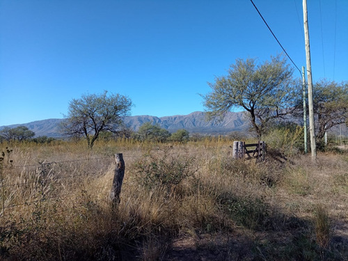 Chacra En Carpintería