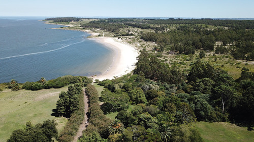 Terreno Lote  En Venta En Montevideo, Uruguay