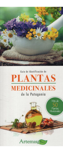 Guia De Identificacion De Plantas Medicinales De La...