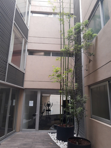 Imagen 2 de 14 de Departamento En La Zona Más Exclusiva De Polanco