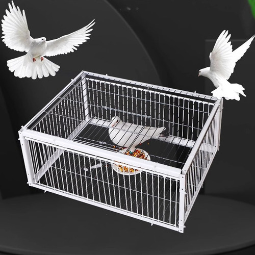 Y Trap De Paloma, Trampa Para Pájaros Con Dos Entradas