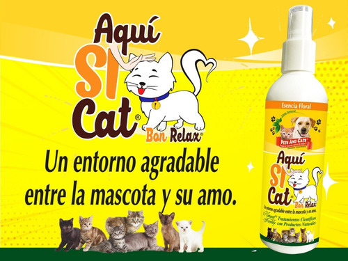 Aqui Si Cat + Aqui No Cat Combo Ideal Adiestramiento X 240ml