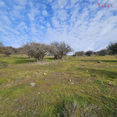 Parcela En Venta En Curicó