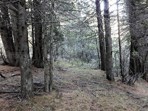 Terreno Fraccion En Venta Ubicado En Villa Lago Gutierrez, Bariloche