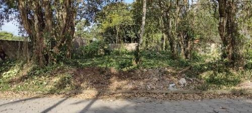 Imagem 6 de 7 de Amplo Terreno De Chácara Lado Serra, Itanhaém- Umuarama 8704